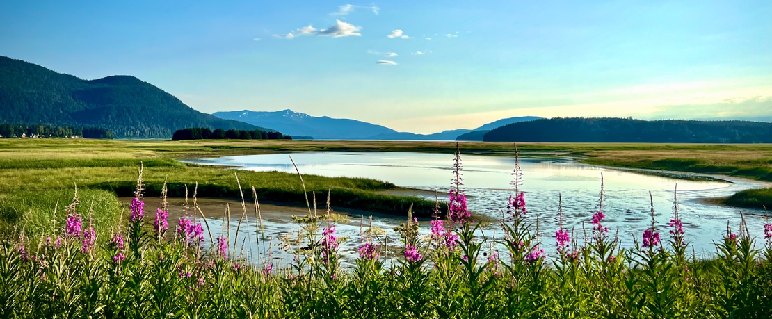 Supervisory Unit Local 4900